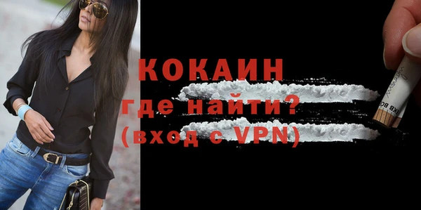 гашик Корсаков
