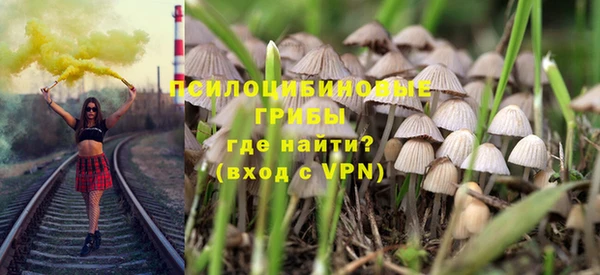 трава Кодинск