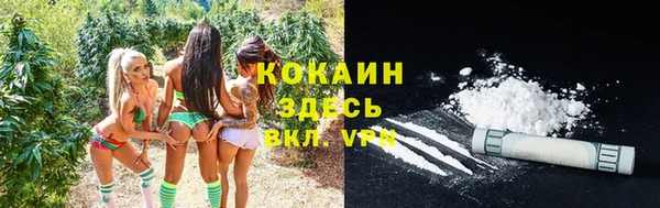 трава Кодинск