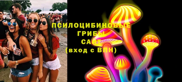 бутират Козловка